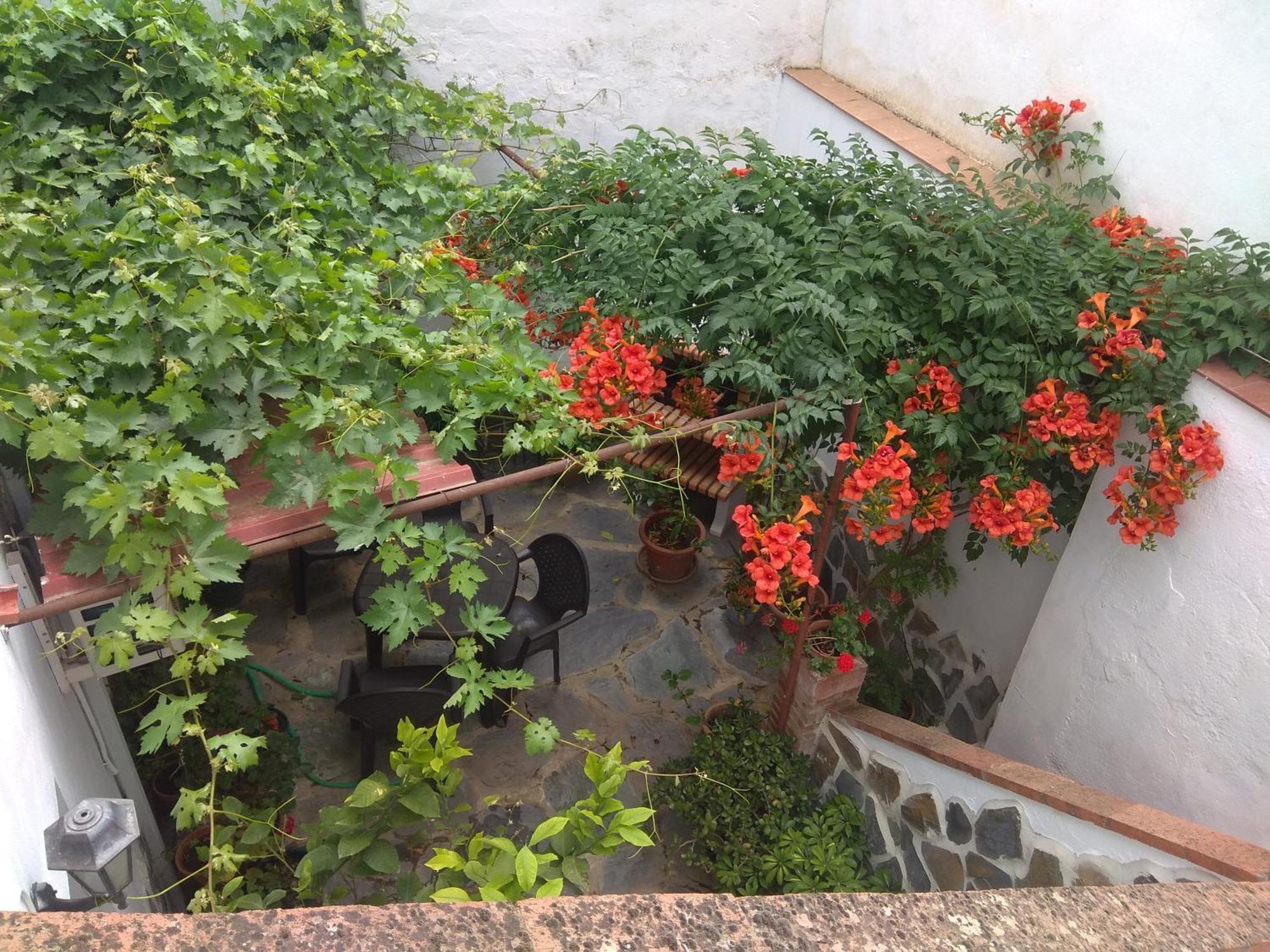 Ferienwohnung El Regocijo Oliva de la Frontera Exterior foto